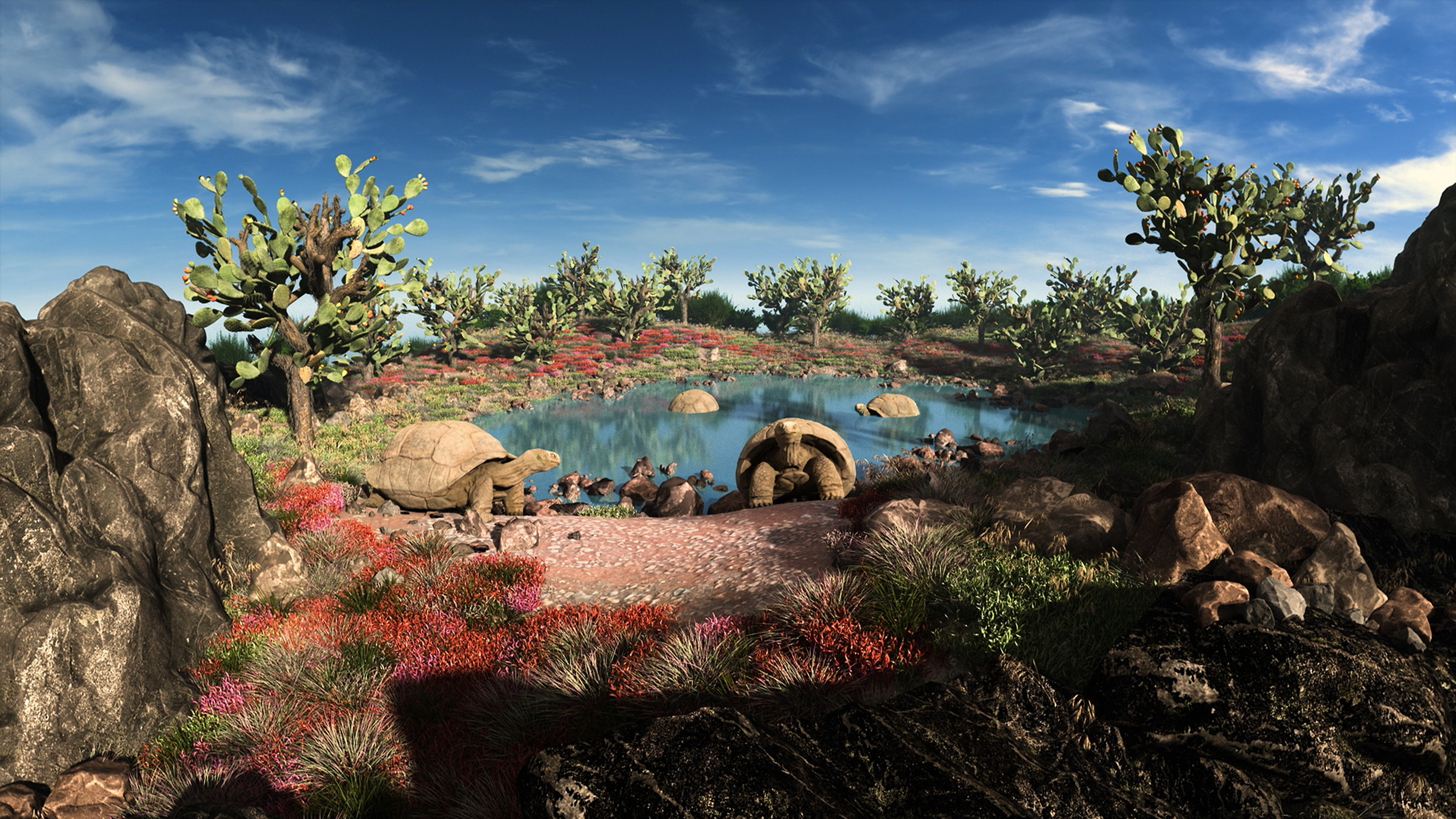 Galapagos scena in realtà virtuale
