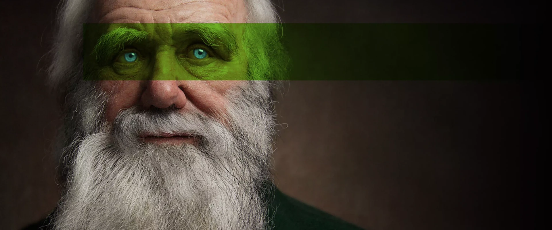 you_are_darwin_pavia.webp