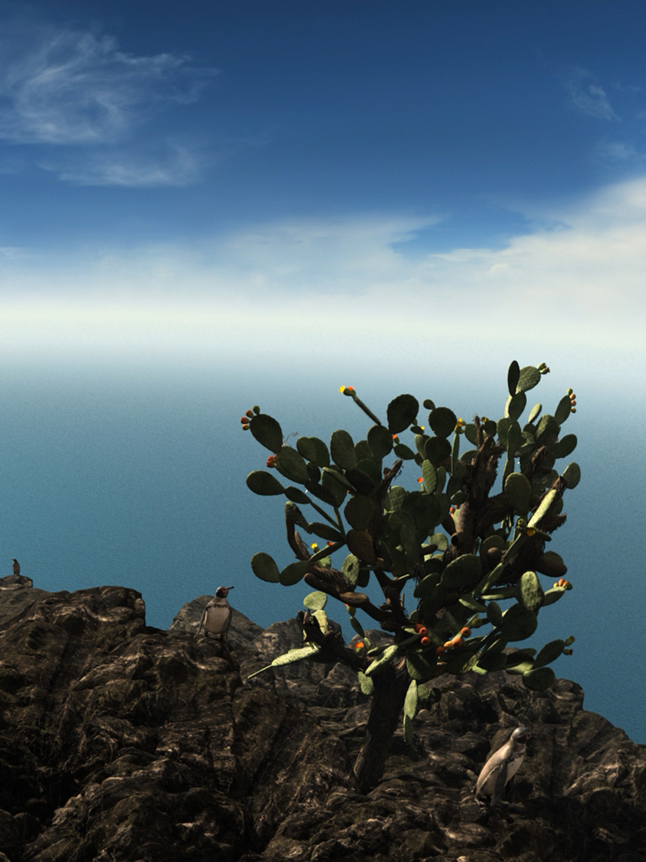 Galapagos scena in realtà virtuale