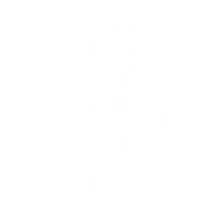 Way Experience logo